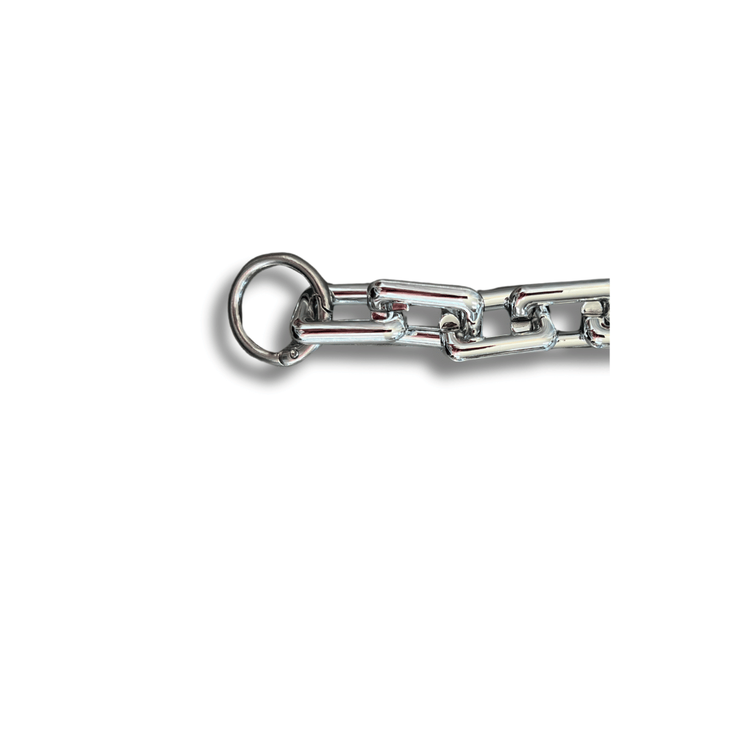 Strap - Gold or Silver Chain