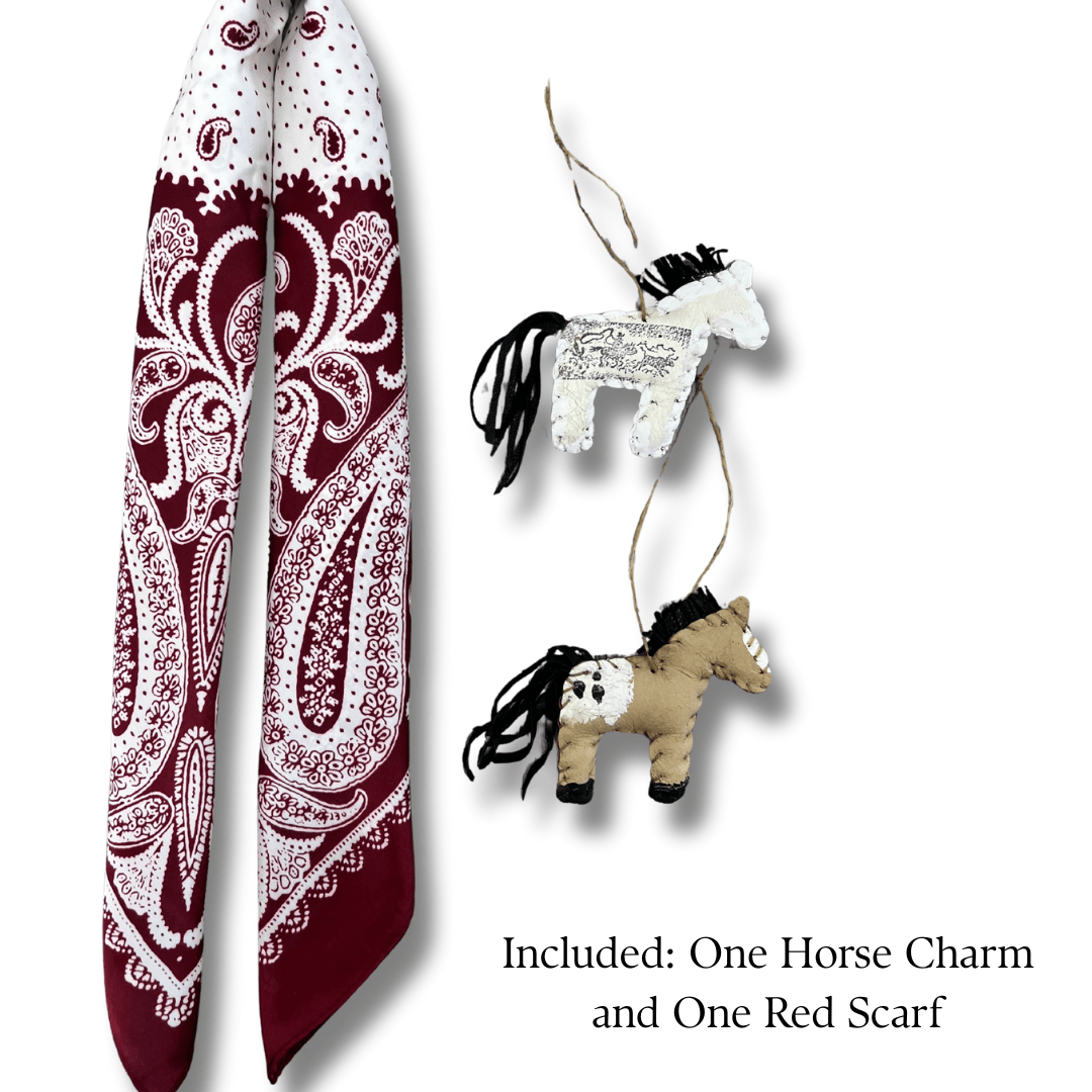 Handbag Accessories Bundle